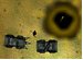 Armored Corps online game