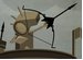 Arrow Of Time online game