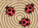 Crazy Ladybugs online game