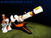 Final Fortress online game