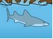 Miami Shark online game