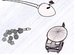 Seed of Destruction online game