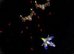 Space Fleet Command online game
