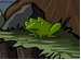 The Visitor online game