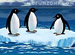 Turbocharged Penguins online game